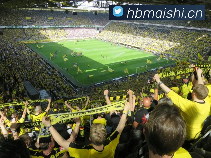 多媒体互动体验